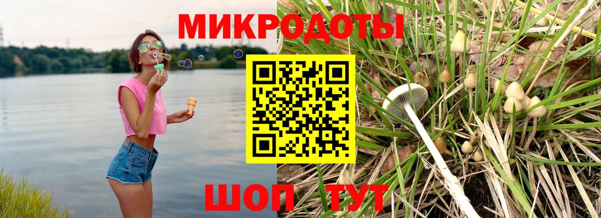 Малоярославец  Галлюциногенные грибы Cubensis  Вход с VPN 